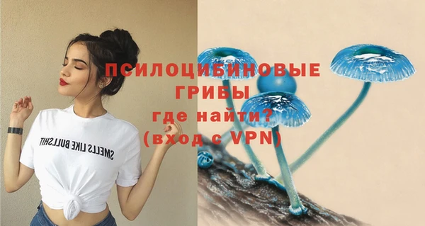 тгк Нязепетровск